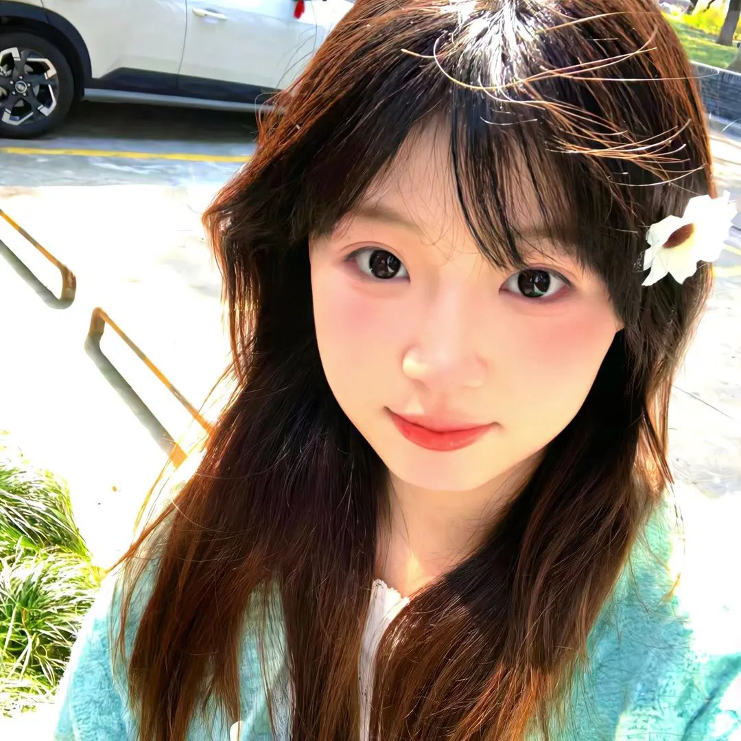 美食总动员